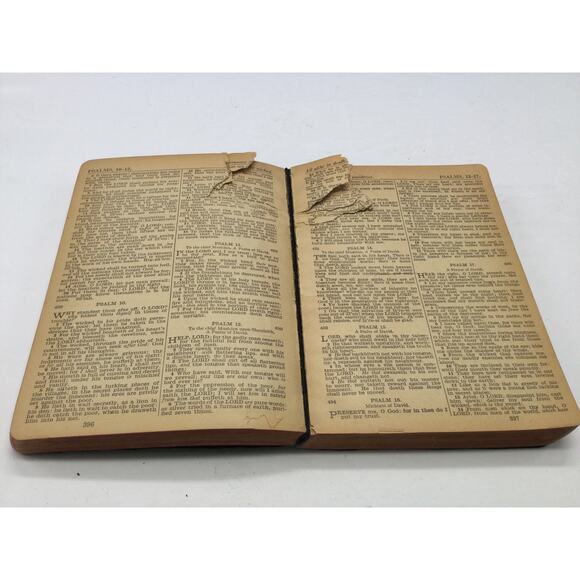 Antique English Bible Old and New Testament King James Version - Picture 5 of 9